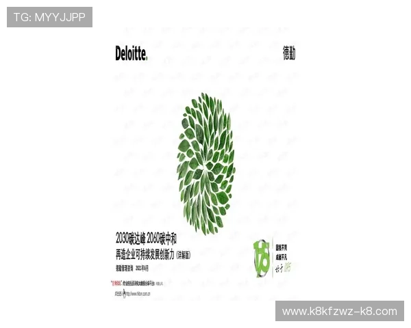 凯发集团会员注册指南全面解析新手快速注册技巧